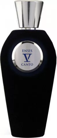 V Canto — V Canto Ensis
