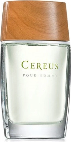 Cereus — Cereus No.4