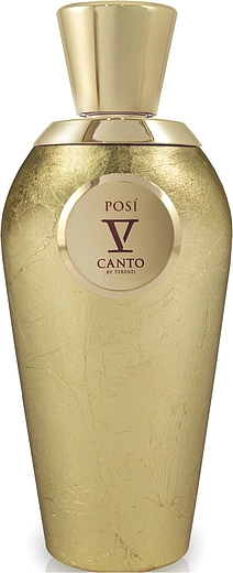 V Canto — V Canto Posi