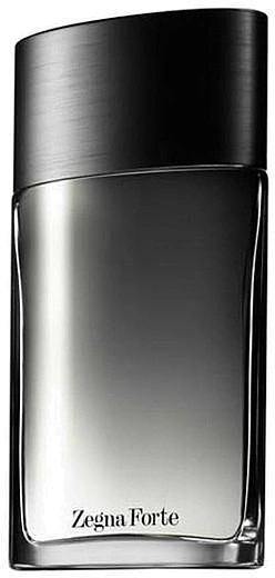 Ermenegildo Zegna — Ermenegildo Zegna Zegne Forte