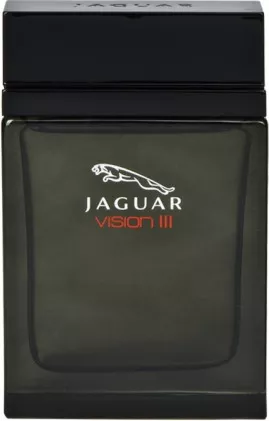 Jaguar Vision 3 — фото 3
