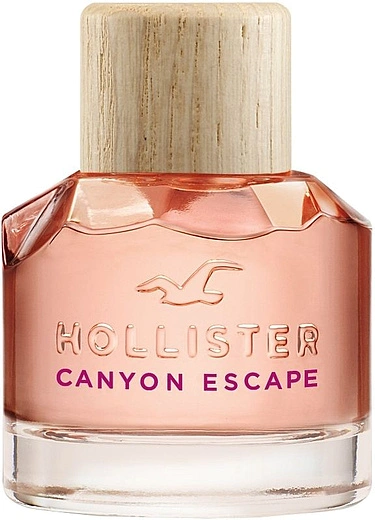Hollister — Hollister Canyon Escape Woman