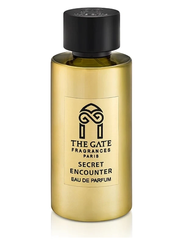 The Gate — The Gate Secret Encounter