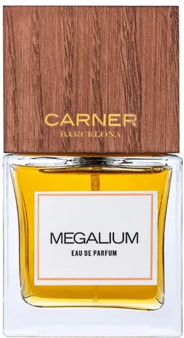 Carner Barcelona Megalium — фото 2