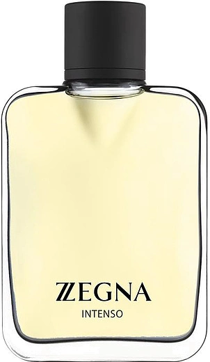 Ermenegildo Zegna — Ermenegildo Zegna Zegna Intenso