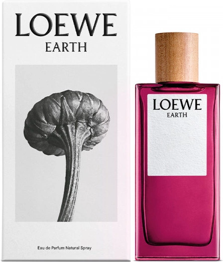 Loewe Earth — фото 3