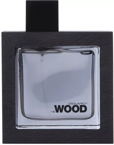 Dsquared2 He Wood Silver Wind Wood — фото 4