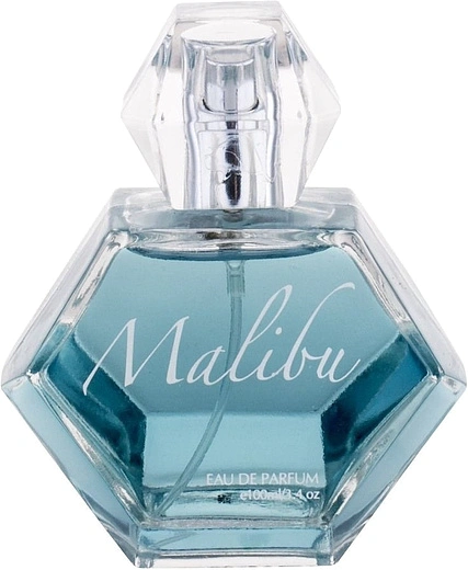 Pamela Anderson — Pamela Anderson Malibu Day