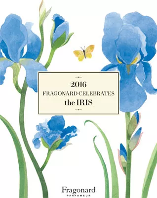 Fragonard Iris — фото 2
