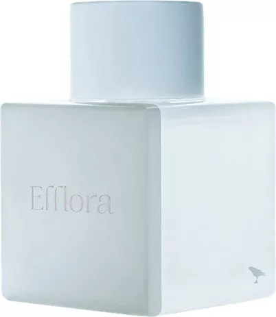 Odin — Odin Efflora