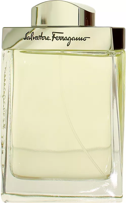 Salvatore Ferragamo Salvatore Ferragamo Homme — фото 2