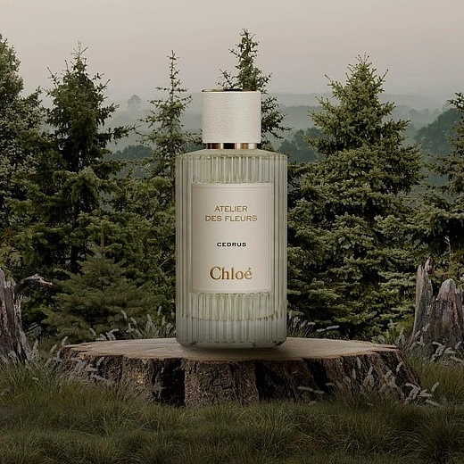 Chloe — Chloe Cedrus Гель для душа