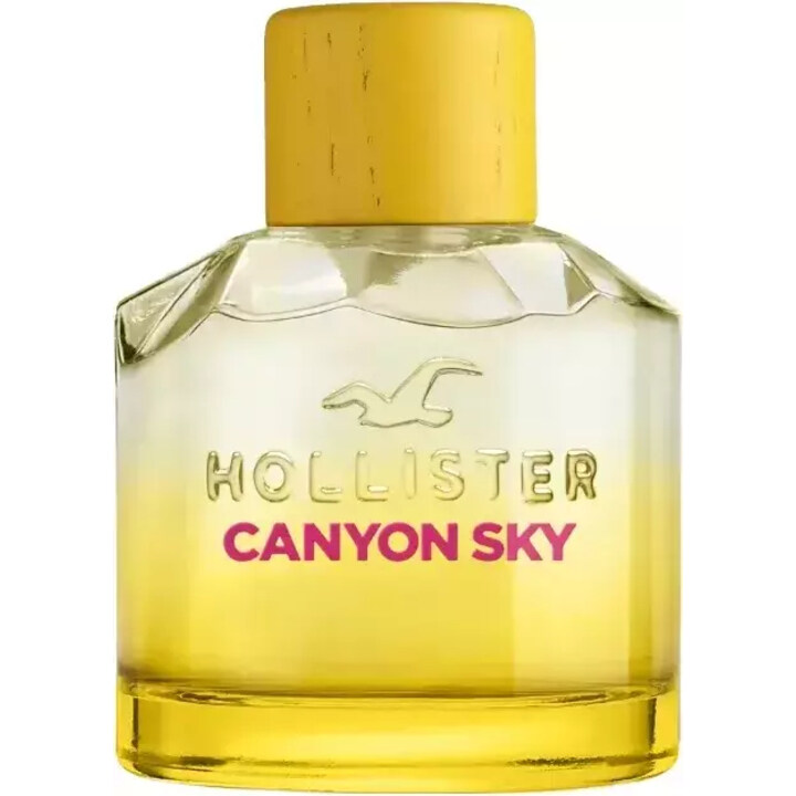 Hollister — Hollister Canyon Sky For Her
