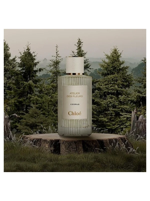 Chloe — Chloe Cedrus Лосьон