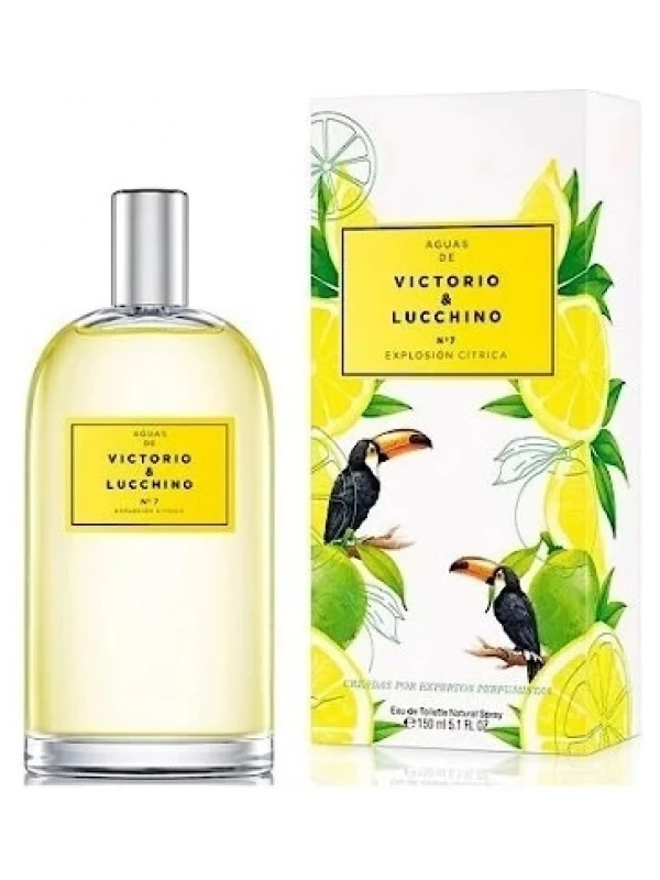 Victorio & Lucchino — Victorio & Lucchino №7 Explosion Citrica