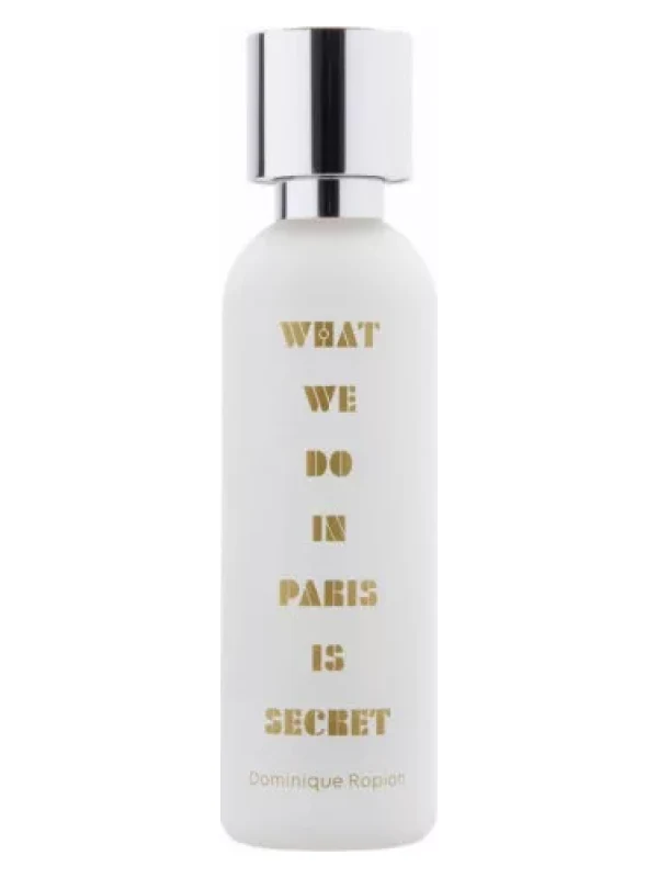 A Lab On Fire — A Lab On Fire What We Do In Paris Is Secret