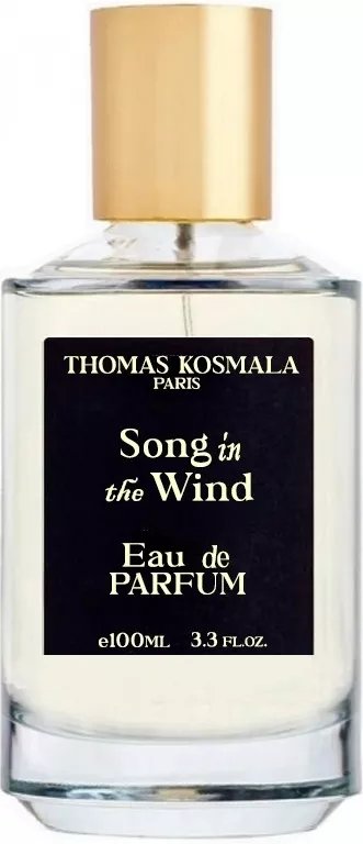 Thomas Kosmala Song In The Wind — фото 2