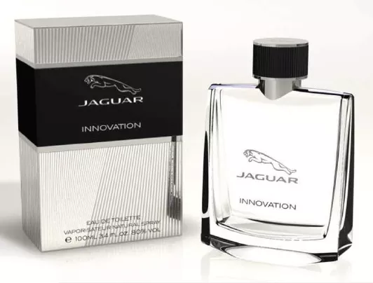 Jaguar — Jaguar Innovation