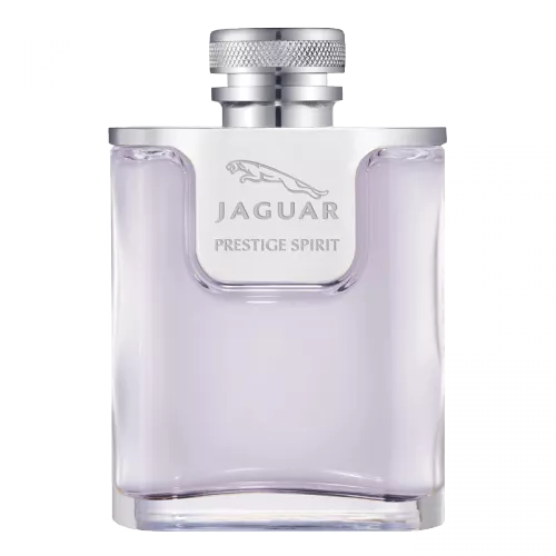 Jaguar Prestige Spirit — фото 3