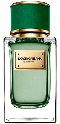 Dolce & Gabbana — Dolce & Gabbana Velvet Cypress