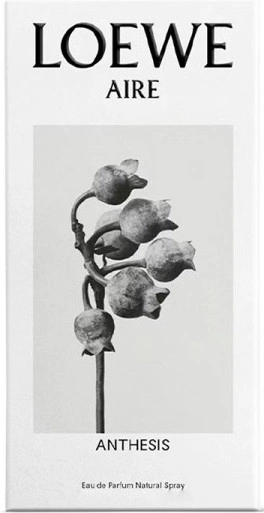 Loewe Aire Anthesis — фото 4