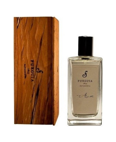 Fueguia 1833 — Fueguia 1833 Azar