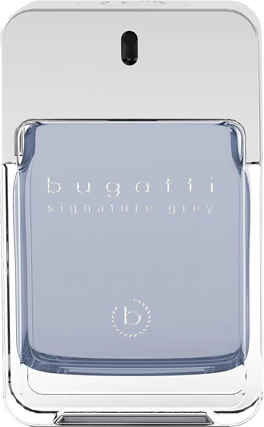 Bugatti Signature Grey — фото 2
