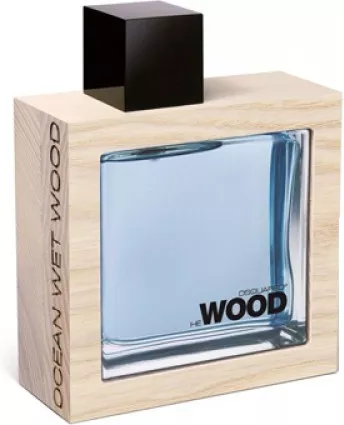 Dsquared2 — Dsquared2 He Wood Ocean Wet Wood