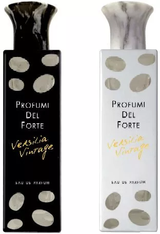 Profumi del Forte Versilia Vintage Ambra Mediterranea — фото 4