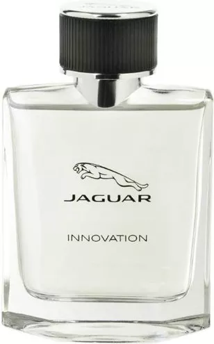 Jaguar Innovation — фото 2