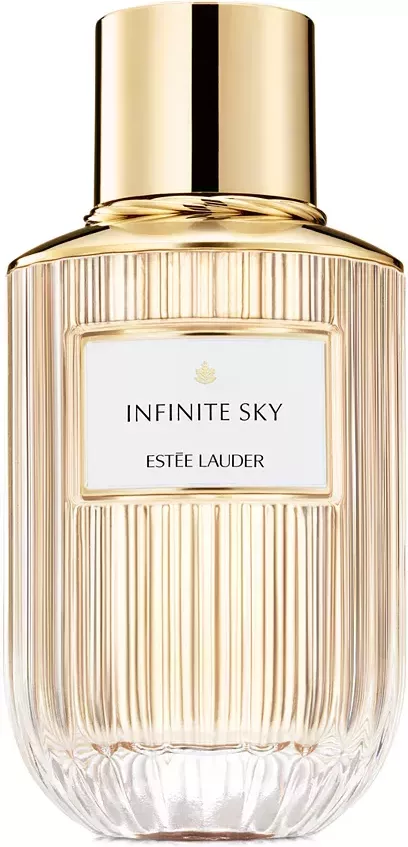 Estee Lauder Infinite Sky — фото 2