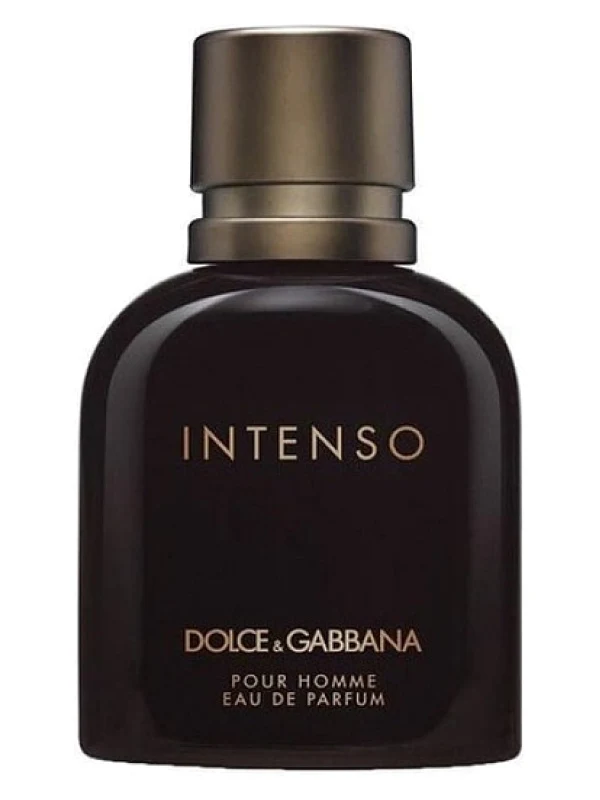 Dolce & Gabbana — Dolce & Gabbana Pour Homme Intenso