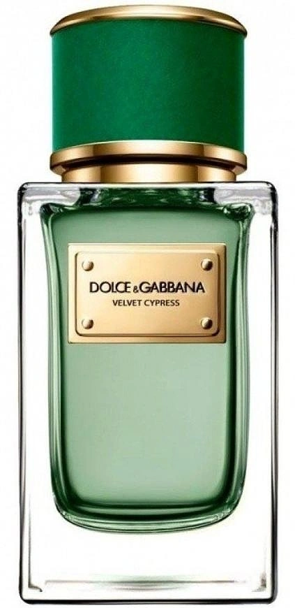 Dolce & Gabbana Velvet Cypress — фото 2