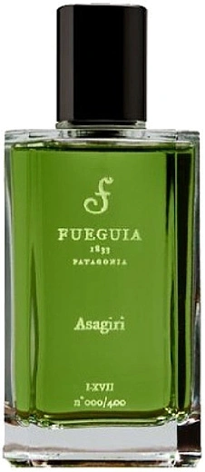 Fueguia 1833 — Fueguia 1833 Asagiri