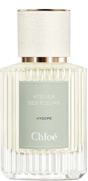 Chloe — Chloe Hysope