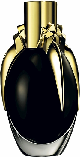 Lady Gaga — Lady Gaga Fame Black Fluid