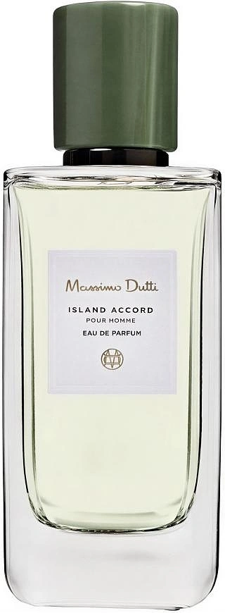 Massimo Dutti Island Accord — фото 2