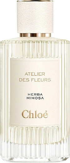 Chloe — Chloe Herba Mimosa