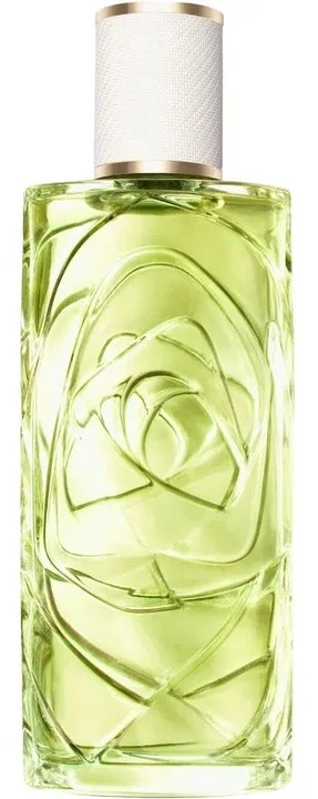 Lancome — Lancome Off Now
