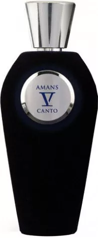 V Canto — V Canto Amans