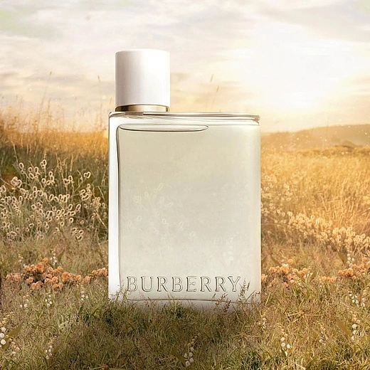 Burberry — Burberry Her Eau De Toilette