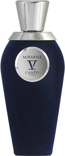 V Canto — V Canto Mirabile