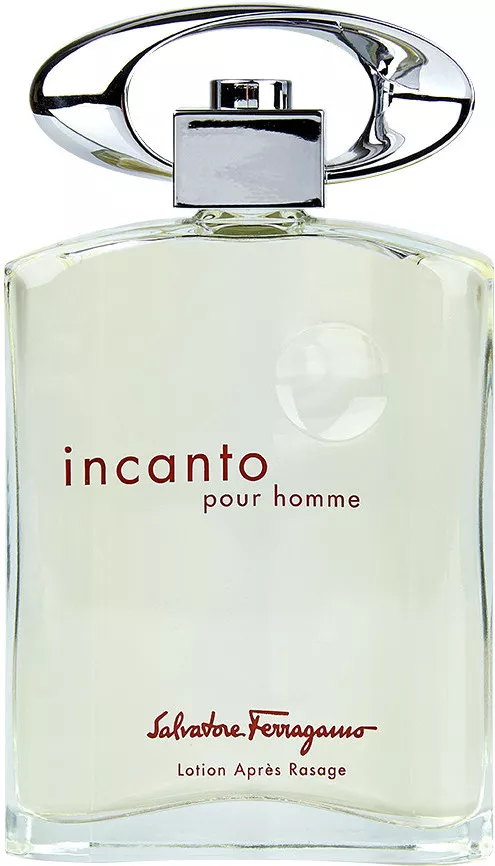 Salvatore Ferragamo Incanto Pour Homme — фото 2