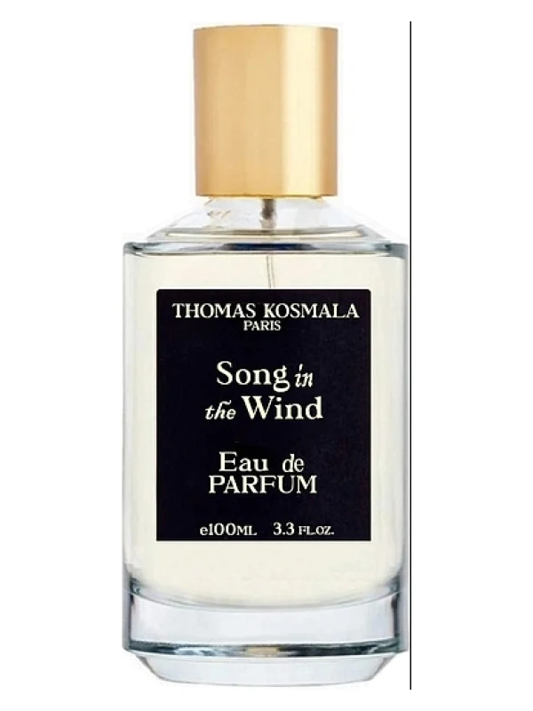 Thomas Kosmala — Thomas Kosmala Song In The Wind