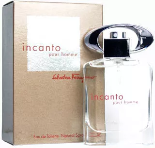 Salvatore Ferragamo Incanto Pour Homme — фото 3