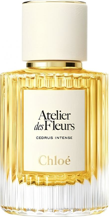Chloe — Chloe Cedrus Intense
