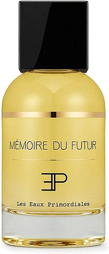 Les Eaux Primordiales — Les Eaux Primordiales Memoire Du Futur