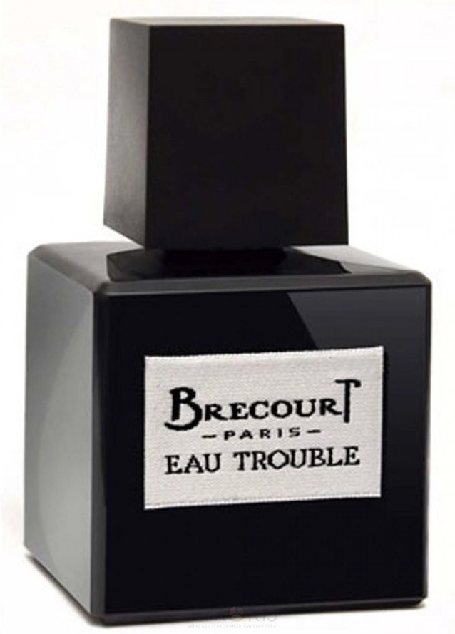 Brecourt Eau Trouble — фото 3