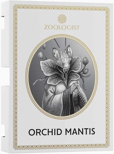 Zoologist Orchid Mantis — фото 3