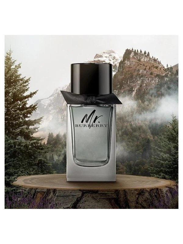 Burberry — Burberry Mr. Burberry Туалетная вода